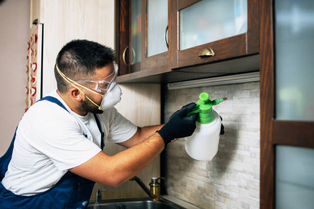 Best Pest Prevention Services  in State Center, IA