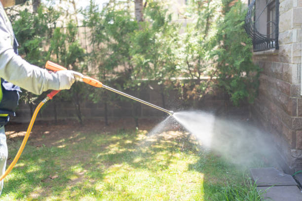 Best Termite Control Services  in State Center, IA