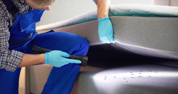 Best Termite Control Services  in State Center, IA