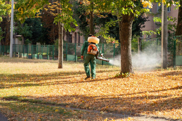 Best Cockroach Control Services  in State Center, IA