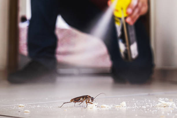 Best Residential Pest Control  in State Center, IA