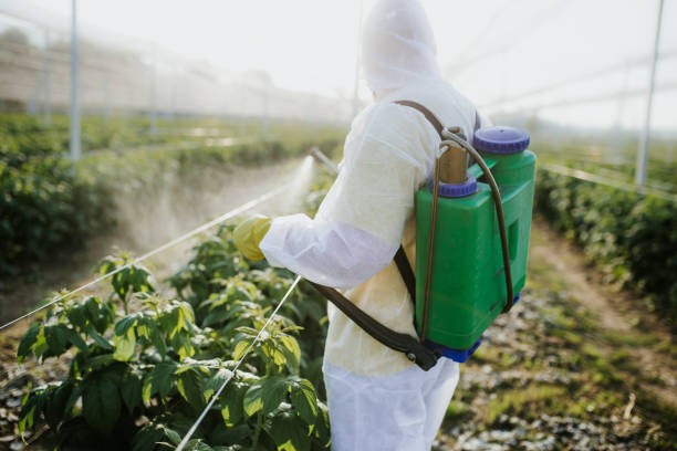 Best Cockroach Control Services  in State Center, IA